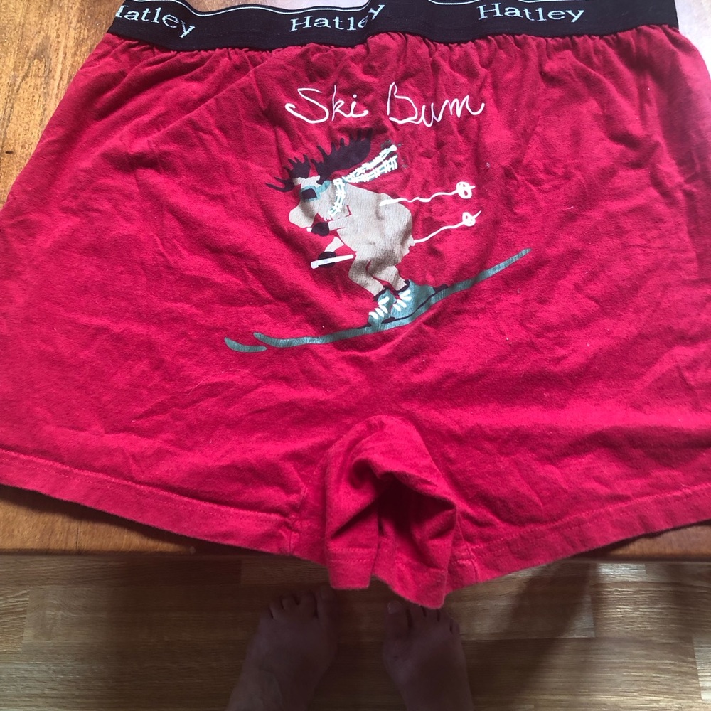Hatley Red 'Ski Bum' Cotton Athletic briefs